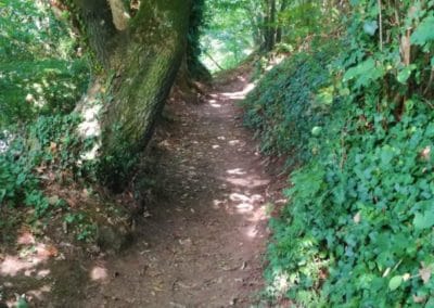 Concarneau . Sentier cotier 2 - Aux alentours