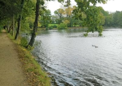 Les etangs de Rosporden 5 - Aux alentours