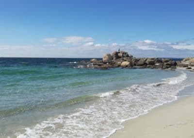 Trevignon . Plage de la Baleine 4 - Cerca